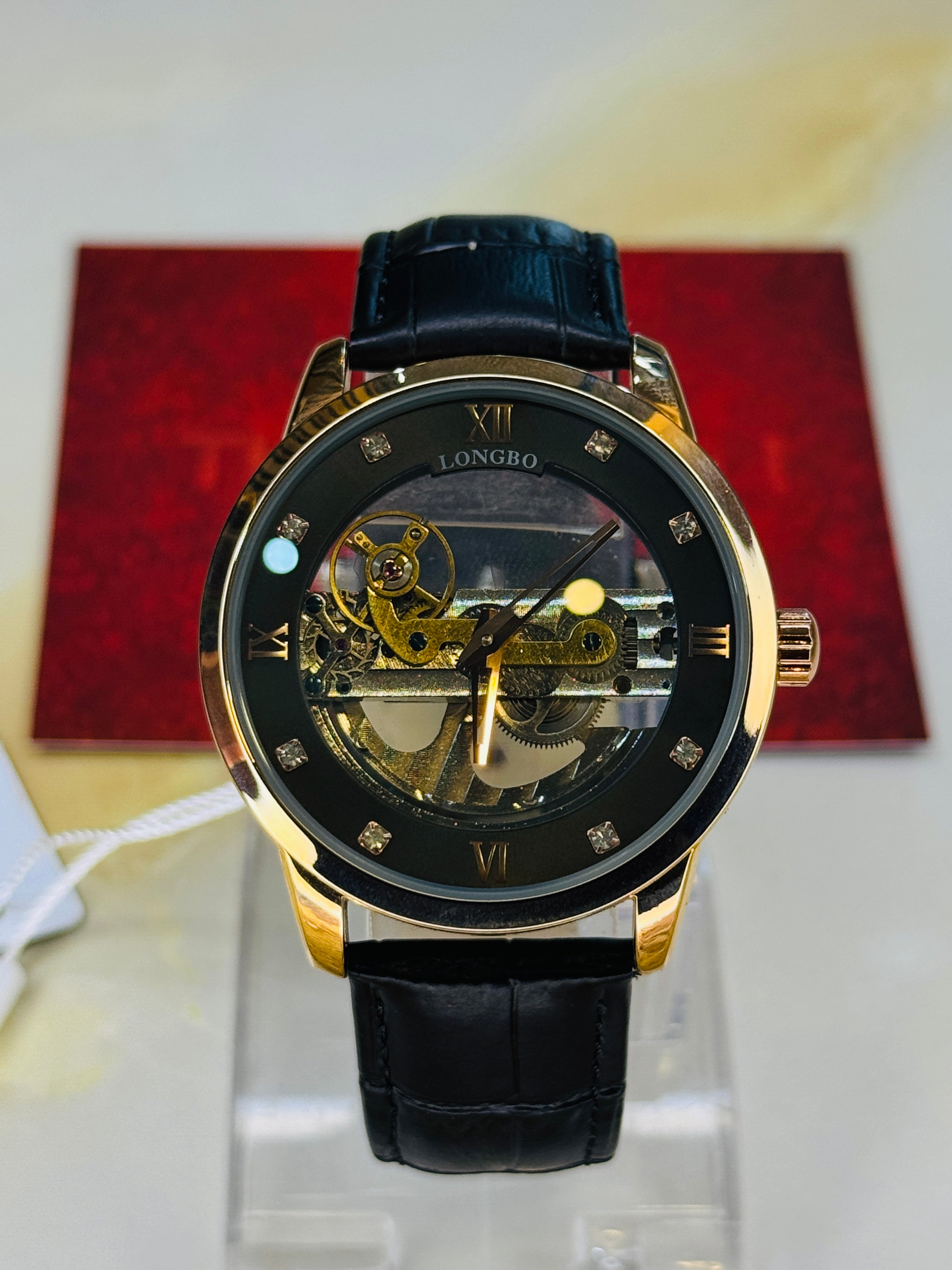 Longbo Skeleton Automatic Leather Watch